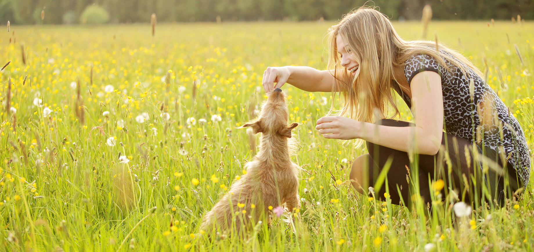 How to communicate with your dog – and the mistakes to avoid