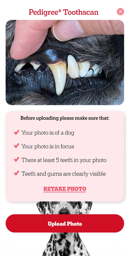 Pedigree Take a Photo