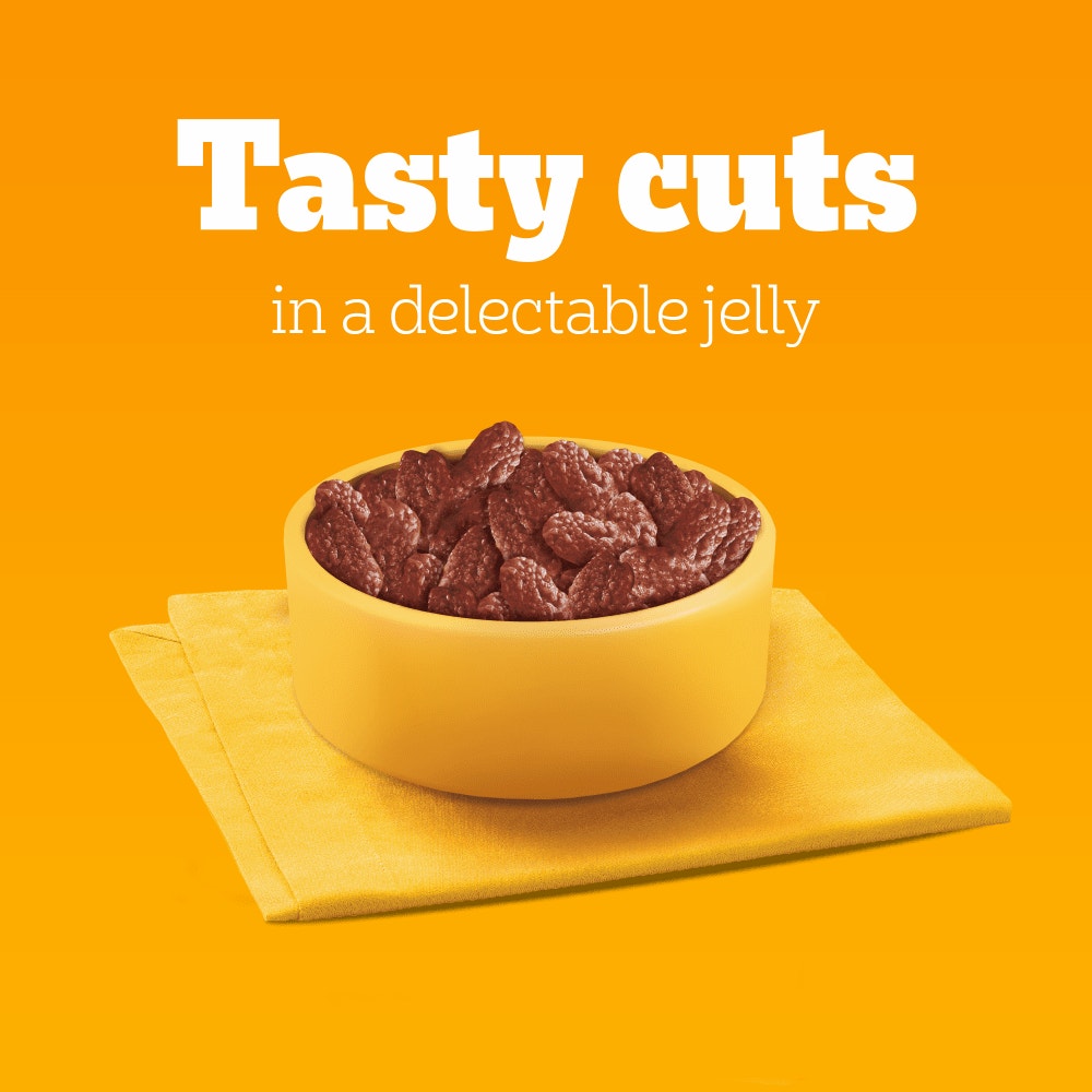 PEDIGREE® Adult Wet Dog Food Mixed in Gravy 40 x 100g Mega Pack Pouch