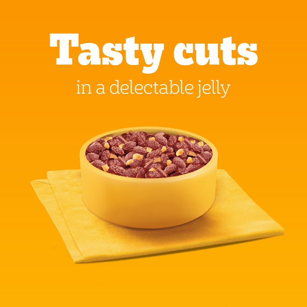 PEDIGREE® PROTEIN +™ Adult Wet Dog Food  Selection in Jelly Pouch 12x85g, 40x85g