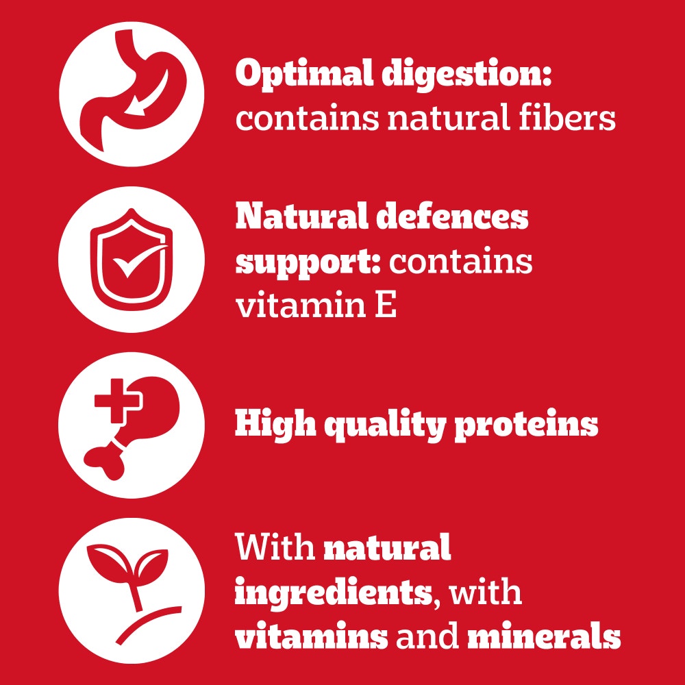 PEDIGREE® Adult Wet Dog Food Mixed Selection in Gravy 6 x 400g,12 x 400g Can