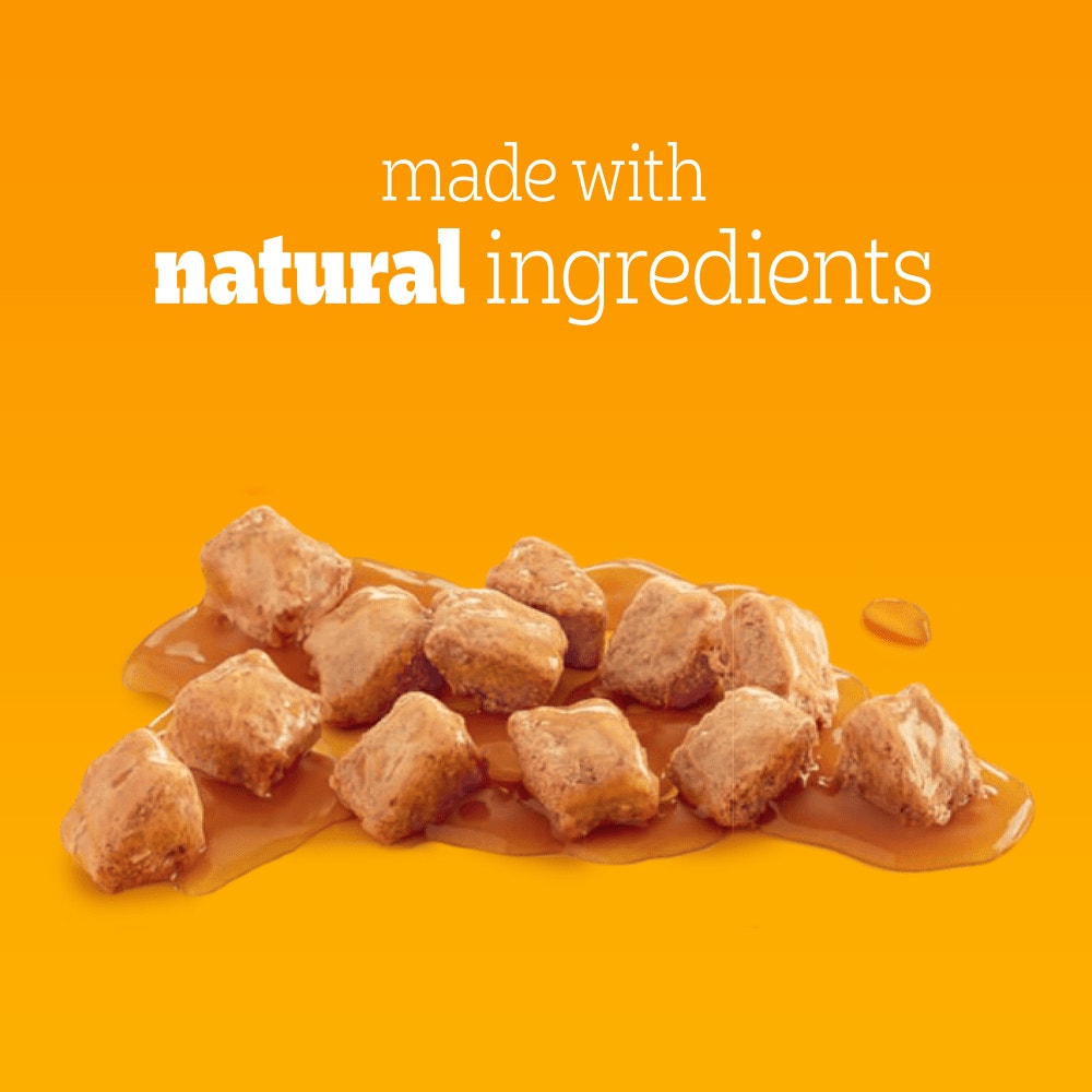 PEDIGREE® Adult Wet Dog Food Chunks in Gravy with Chicken 400g Can