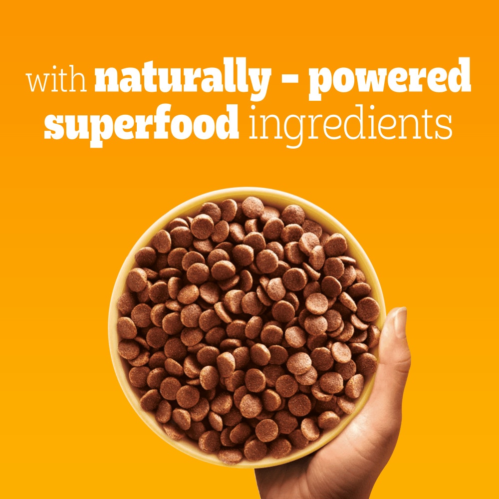 PEDIGREE® COMPLETE™ Dry Small Dog Food with Poultry & Vegetables 3kg, 1.4kg