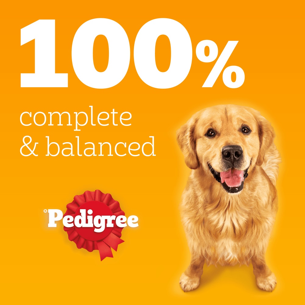 PEDIGREE® Adult Wet Dog Food Chunks in Jelly with Chicken 385g Can