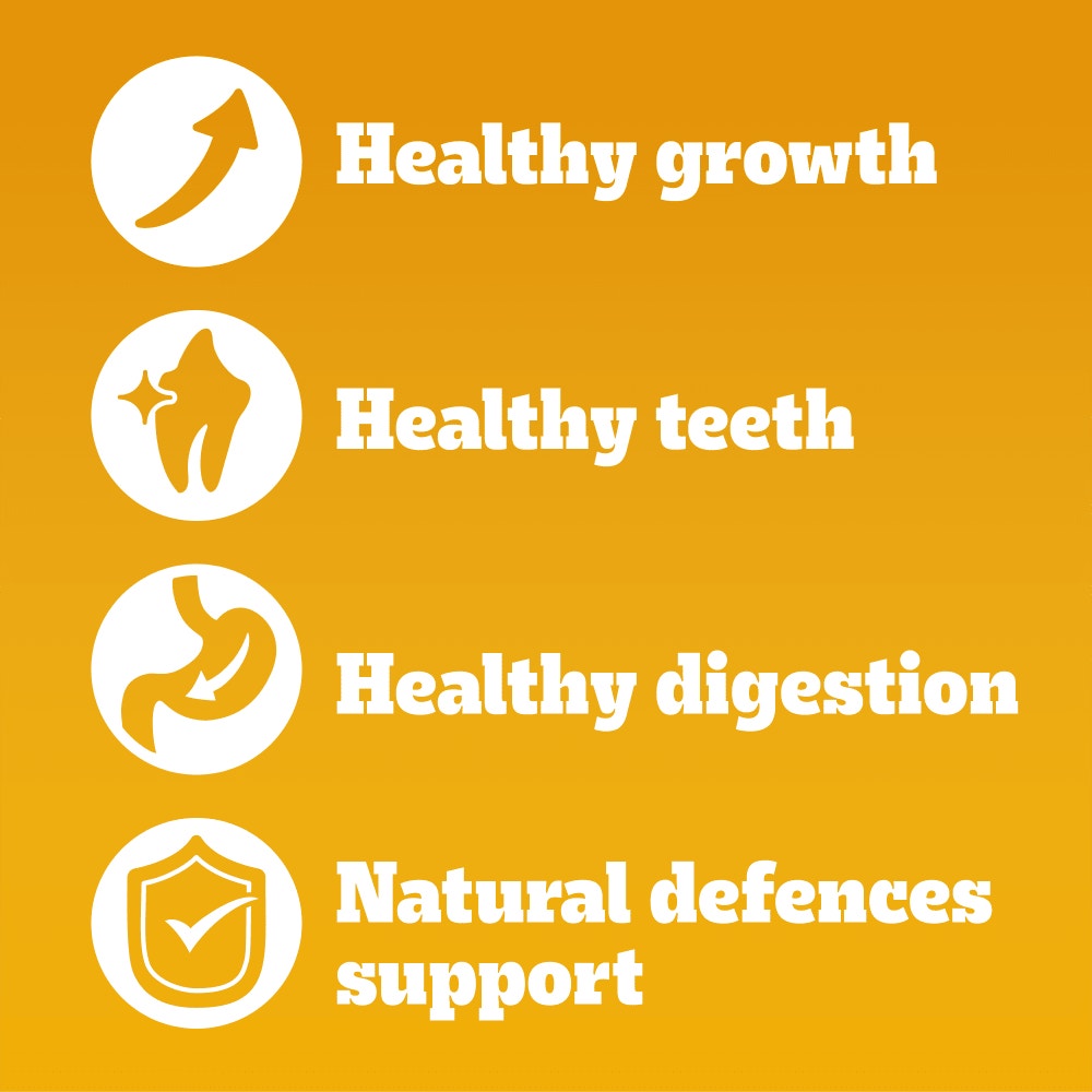 PEDIGREE® COMPLETE™ Junior/Puppy Dry Dog Food Poultry and Vegetables 12kg,3kg