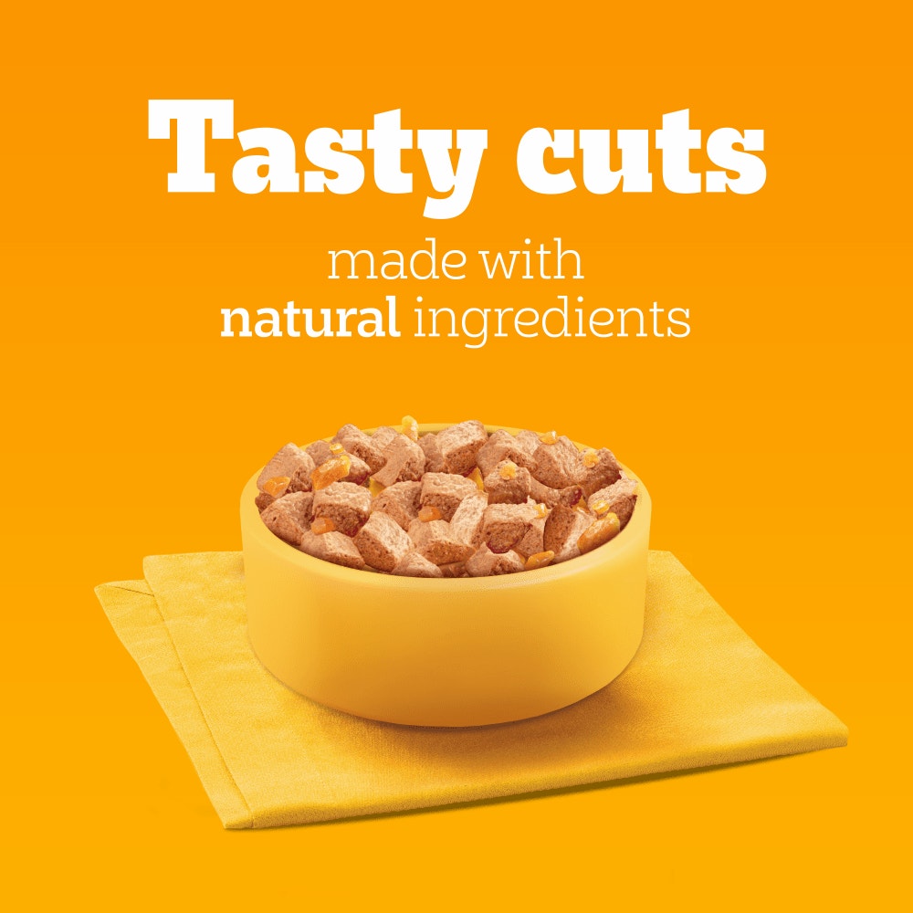 PEDIGREE® Adult Wet Dog Food Mixed Selection Chunks in Jelly 6 x 385g Can