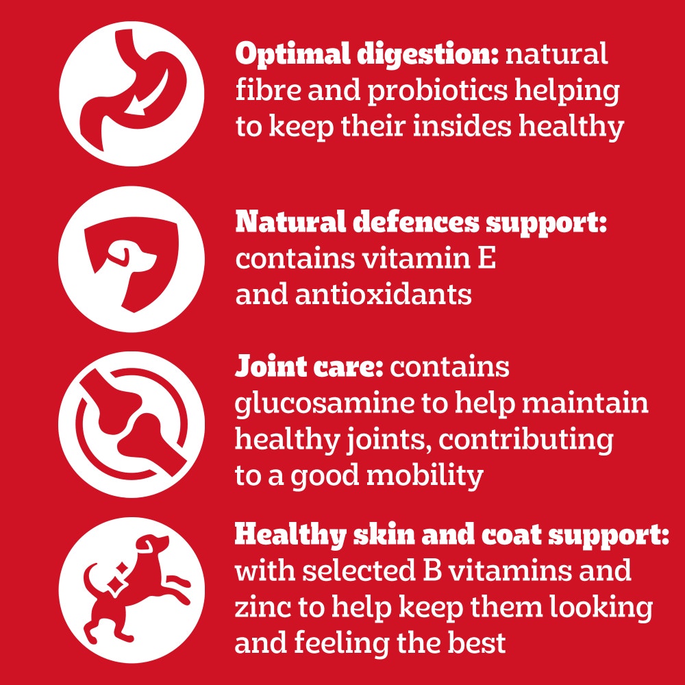 PEDIGREE® VITALITY+  Adult Wet Dog Food Selection in Gravy Pouch 12x85g, 40x85g