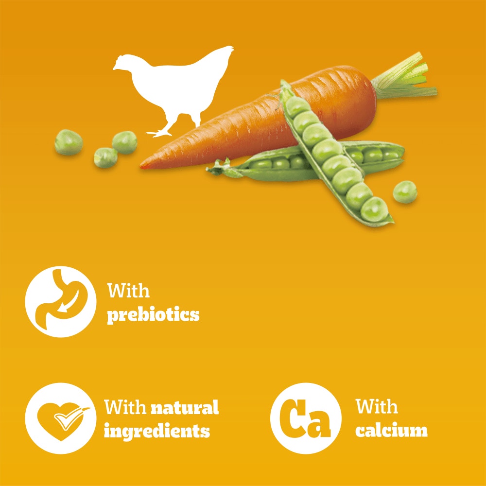 PEDIGREE® COMPLETE™ Junior/Puppy Dry Dog Food Poultry and Vegetables 12kg,3kg