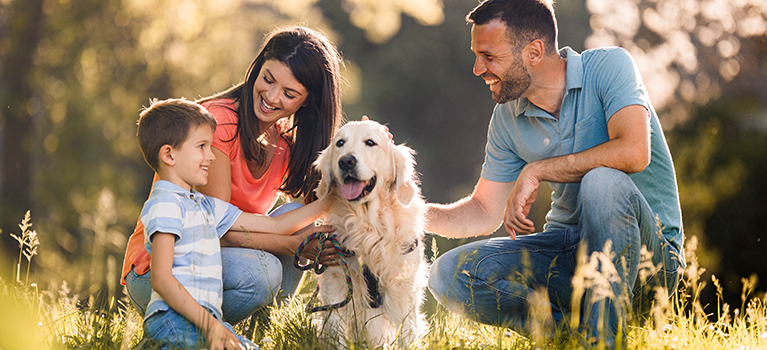 introducing a new dog to your kids