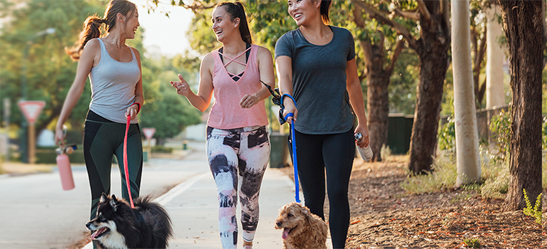 why owning a dog can be good for your health